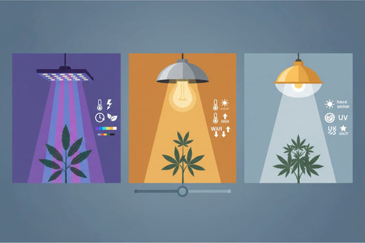 LED vs HPS vs CMH Grow Lights: Key Differences Explained
