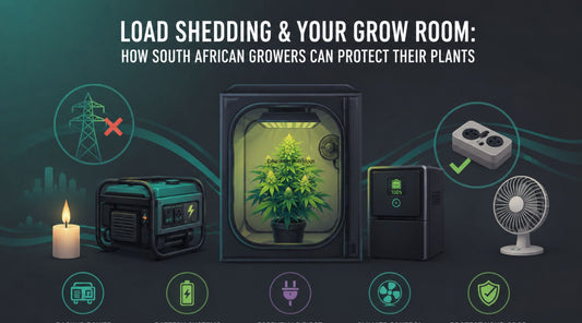 Load Shedding & Your Grow Room: How South African Growers Can Protect Their Plants