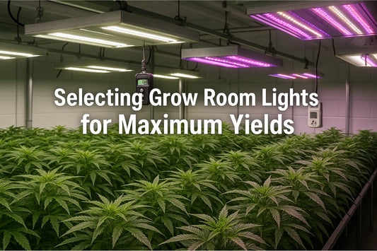 Selecting Grow Room Lights for Maximum Yields | Skyline Grow Shop