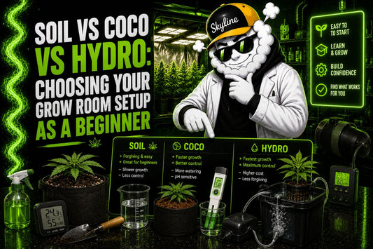 Soil vs Coco vs Hydro: Choosing Your Grow Room Setup as a Beginner
