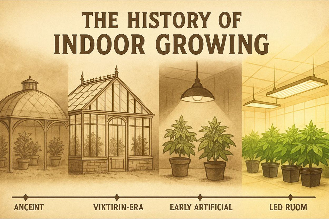 The History of Indoor Growing | Skyline Grow Shop