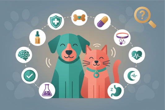 The Rise of Cannabis in Pet Care: Is CBD Safe for Pets? | Complete Guide
