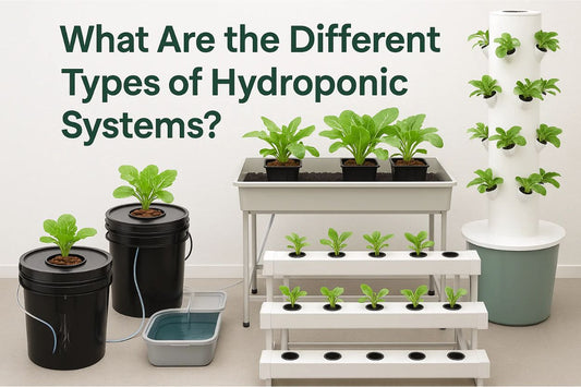 What Are the Different Types of Hydroponic Systems? | Skyline Grow Shop