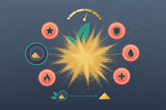 What Is Kief? Benefits, Uses & How It’s Made Guide