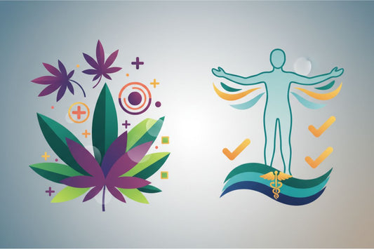 Which Cannabis Strains Are Good for Pain? The Complete Guide