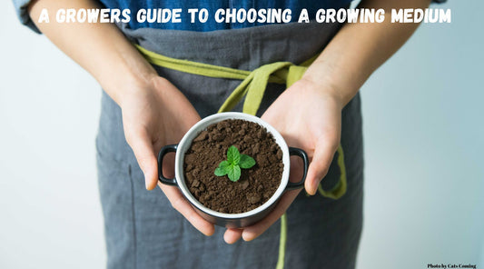 A Growers Guide To Choosing A Growing Medium | Skyline Vape & Smoke Lounge | | South Africa