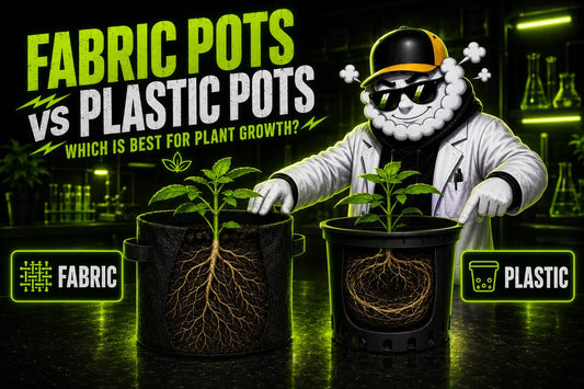 Fabric Pots vs Plastic Pots: Which Is Best for Plant Growth?