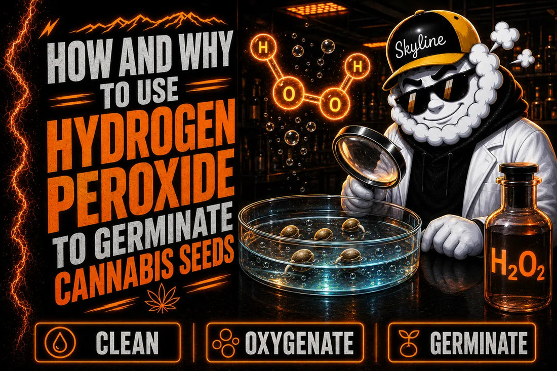 How to Use Hydrogen Peroxide to Germinate Cannabis Seeds | Skyline Seed Bank