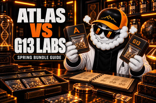 Smokey comparing Atlas Seed and G13 Labs spring bundles