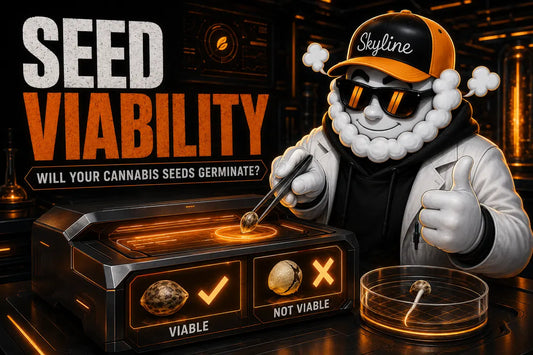 Seed Viability: How to Tell If Your Cannabis Seeds Will Germinate