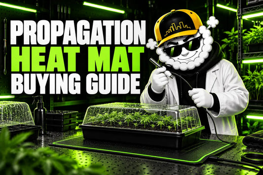 Smokey checks a propagation heat mat and seedling dome under green Skyline lighting