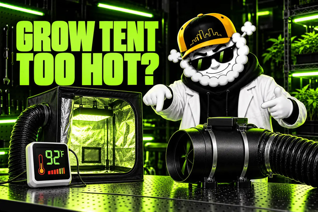 Smokey diagnosing a warm grow tent in the Skyline lab under electric green light.
