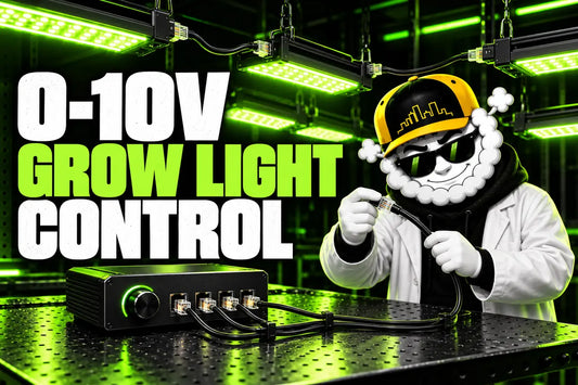 Smokey connecting a 0–10V grow light controller in Skyline's green horticulture laboratory