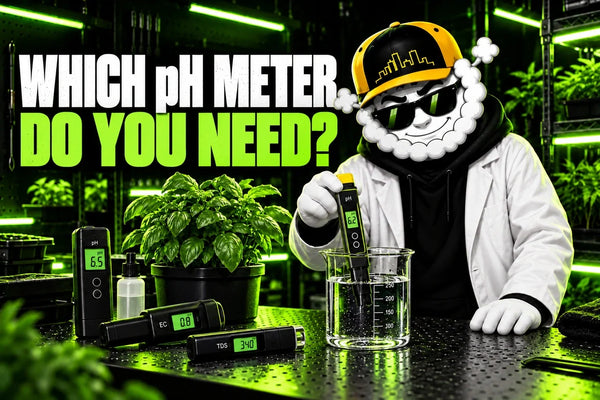 Smokey at a Grow Shop laboratory workbench for WHICH pH METER DO YOU NEED?