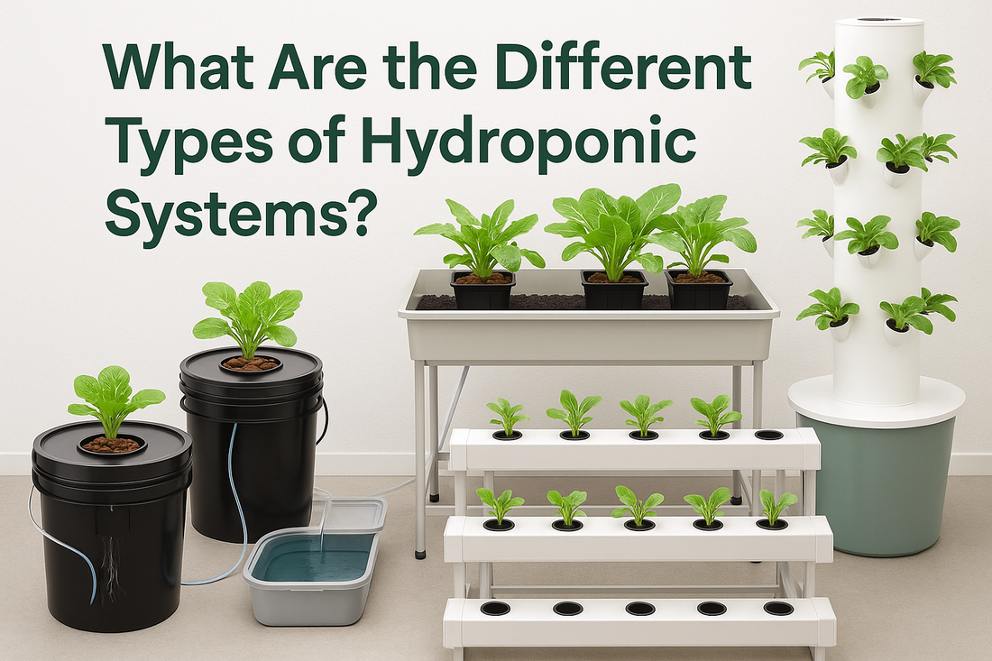 What Are the Different Types of Hydroponic Systems?