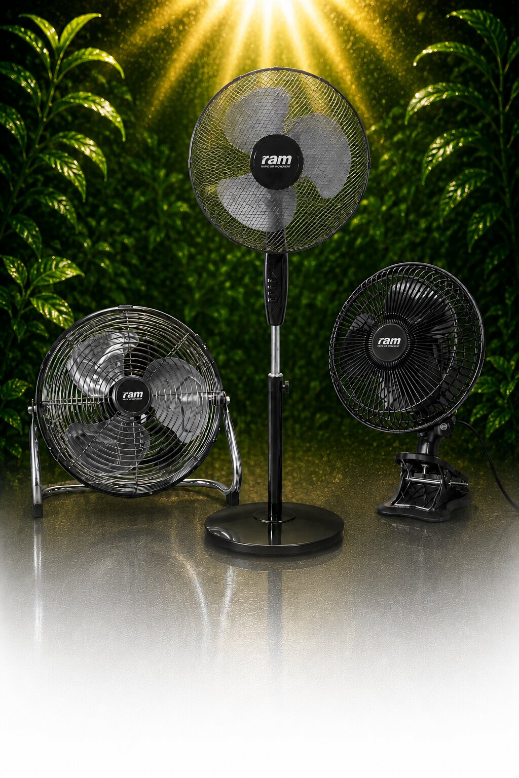 Air Circulation Fans