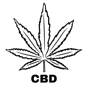 CBD Dominant Cannabis Seeds