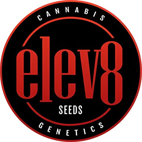 Premium Cannabis Seeds | Elev8 Seeds | Seed Bank Shop
