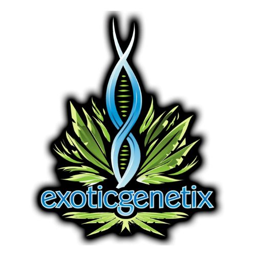 Exotic Genetix Seeds and Clones