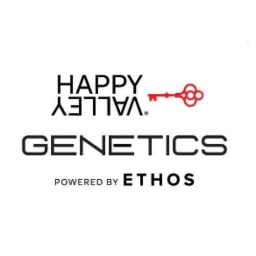 Happy Valley Genetics Seeds