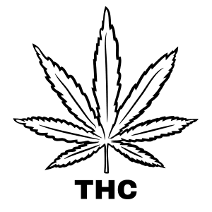 THC Dominant Cannabis Seeds