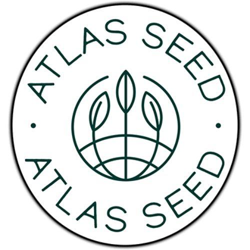 Atlas Seed | Skyline Vape & Smoke Lounge | South Africa