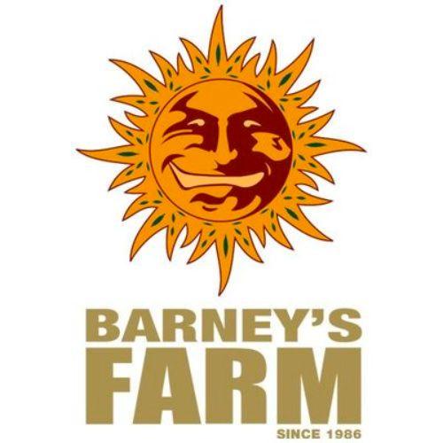 Barney's Farm | Skyline Vape & Smoke Lounge | South Africa