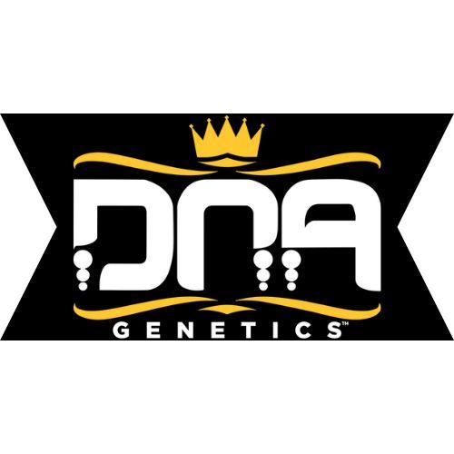 DNA Genetics | Skyline Vape & Smoke Lounge | South Africa