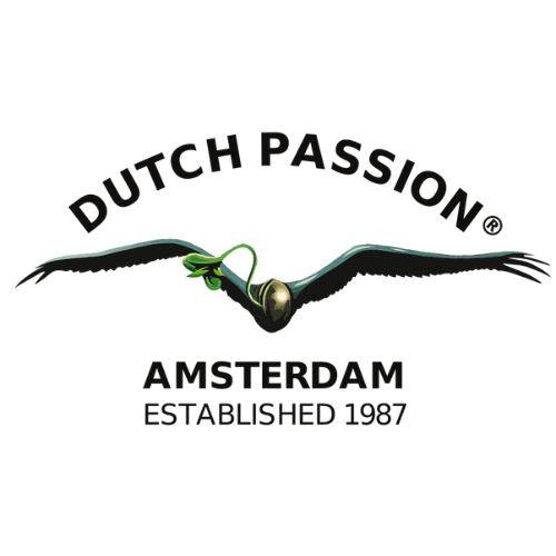 Dutch Passion | Skyline Vape & Smoke Lounge | South Africa