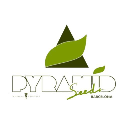 Pyramid Seeds | Skyline Seed Bank – Skyline Smoke Company