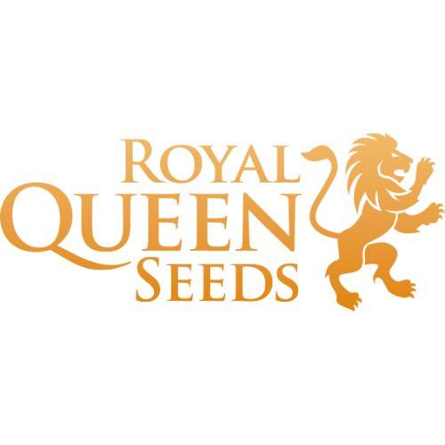 Royal Queen Seeds | Skyline Vape & Smoke Lounge | South Africa