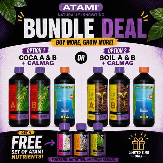 Atami B'Cuzz Bundle