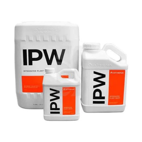 Athena IPW