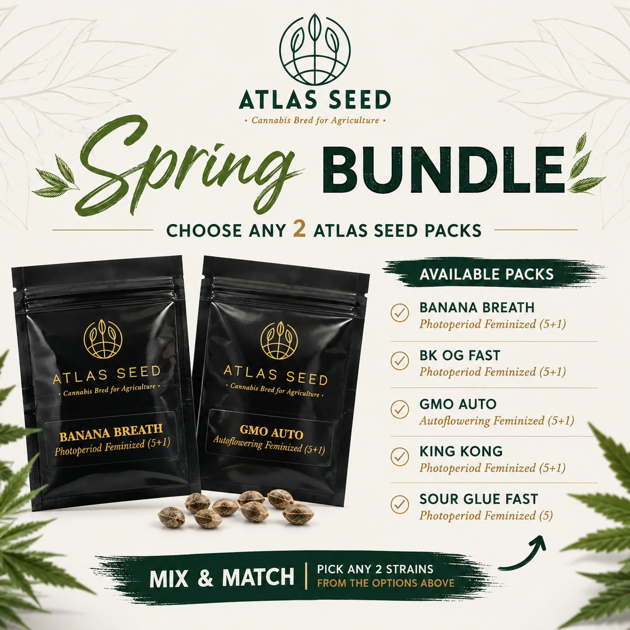Atlas Seeds Spring Bundle