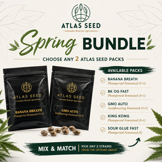 Atlas Seeds Spring Bundle