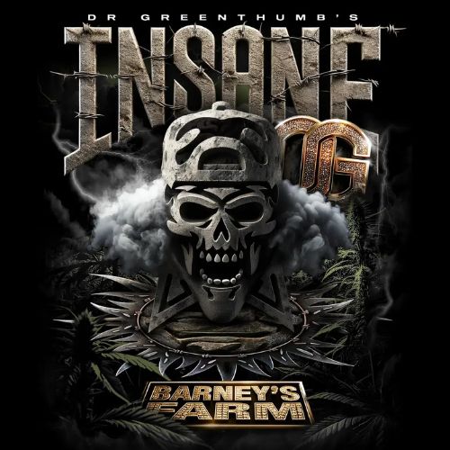Barneys Farm Insane OG Seeds | Skyline Seed Bank