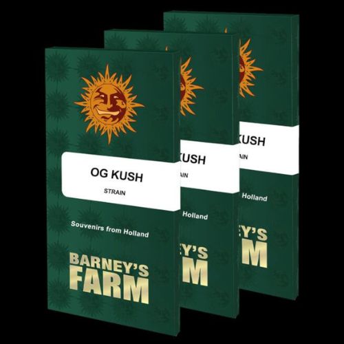 OG Kush Feminized Seeds | Premium Cannabis Genetics | Quality & Flavor