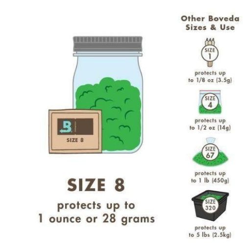 Boveda 62% Humidity Packs