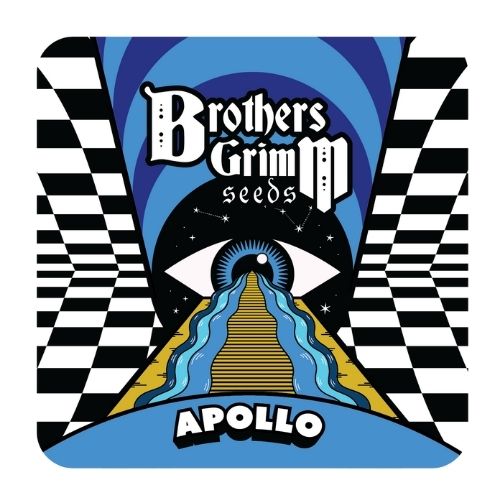 Brothers Grimm Seeds Apollo | Skyline Seed Bank