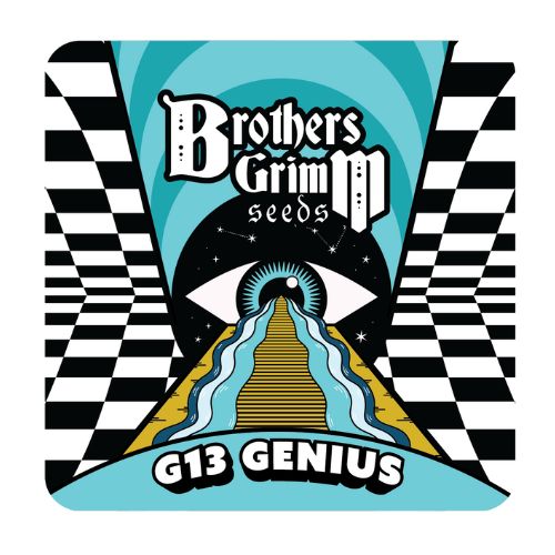 Brothers Grimm Seeds G13 Genius | Skyline Seed Bank