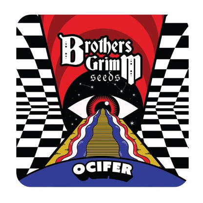Brothers Grimm Seeds Ocifer | Skyline Seed Bank