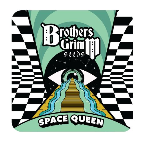 Brothers Grimm Seeds Space Queen | Skyline Seed Bank