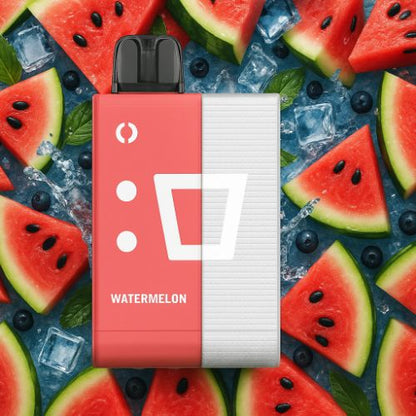 ELFBAR EW9000 Disposable Pod Kit