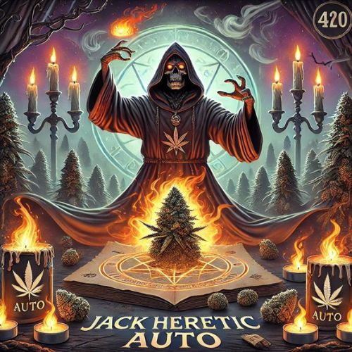 Jack Heretic Auto Seeds | Skyline Seed Bank
