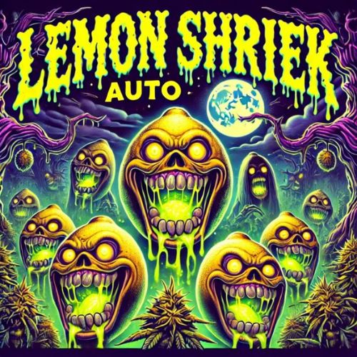 Lemon Shriek Auto Seeds | Skyline Seed Bank
