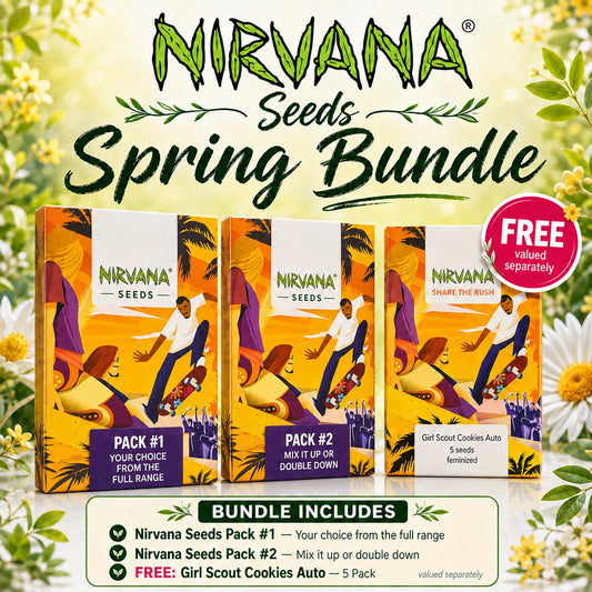 Nirvana Seeds Spring Bundle – 2 packs of your choice + free Girl Scout Cookies Auto 5 Pack – cannabis seeds South Africa

