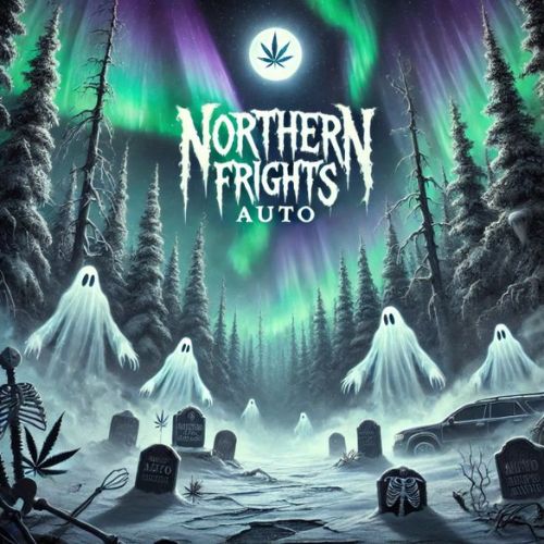 Northern Frights Auto Seeds | Skyline Seed Bank