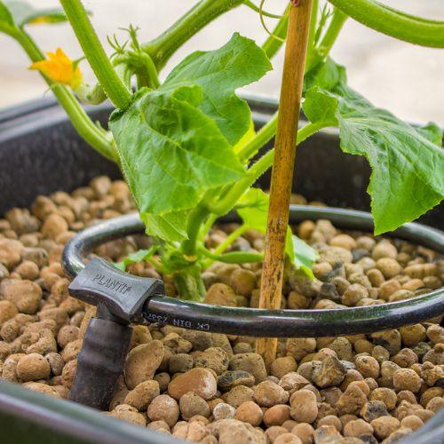 PLANT!T Watering Ring | Skyline Grow Shop