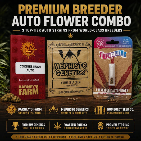 Premium Breeder Autoflower Combo – Cookies Kush Auto, Creme de la Chem Auto & Chunkadelic Auto Feminized Seeds Bundle

