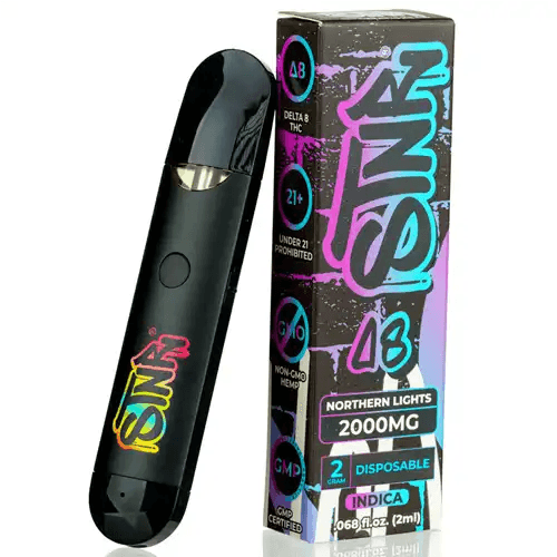 STNR Northern Lights 2 Gram Delta 8 Disposable Vapes | Skyline Smoke Company 